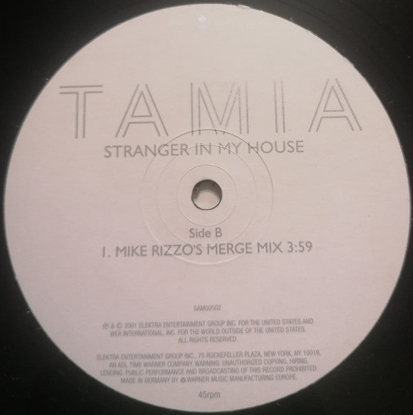 Tamia : Stranger In My House (12")