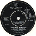 Helen Shapiro : Something Wonderful (7", Single)