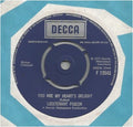 Lieutenant Pigeon : You Are My Heart's Delight (7", Single)