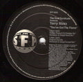 Soul Syndicate Presents Terry Maxx : You've Got The Flame (12")