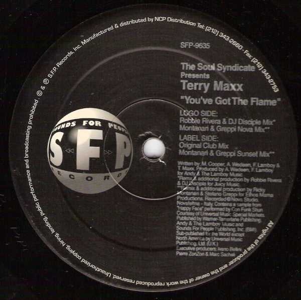 Soul Syndicate Presents Terry Maxx : You've Got The Flame (12")
