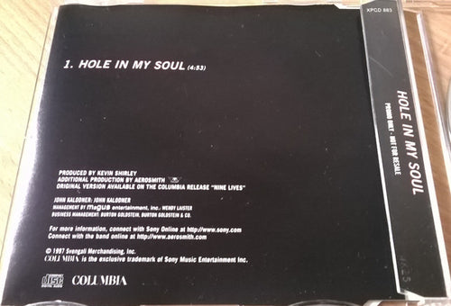 Aerosmith : Hole In My Soul (CD, Single, Promo, Sli)