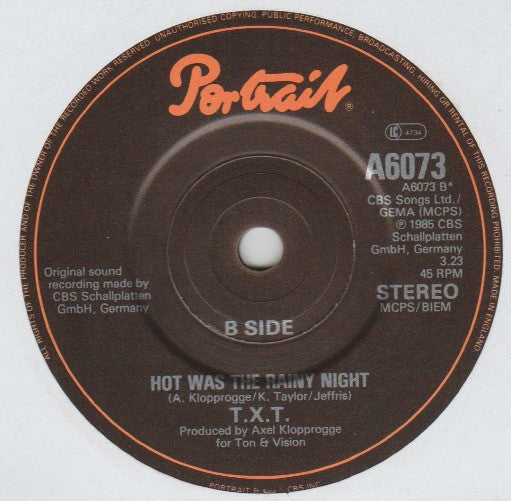 T.X.T. : Girl's Got A Brand New Toy (7")