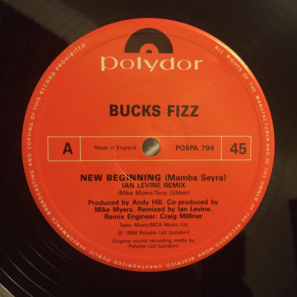 Bucks Fizz : New Beginning (Ian Levine Remix) (12", Single)