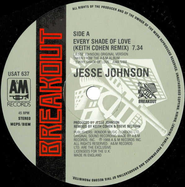 Jesse Johnson : Every Shade Of Love (12")