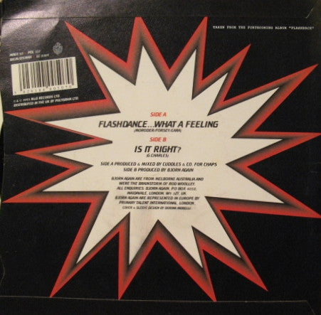Bjorn Again : Flashdance...What A Feeling (7", Single)