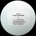 DJ Grad : Free Your Mind (12", W/Lbl, Sti)
