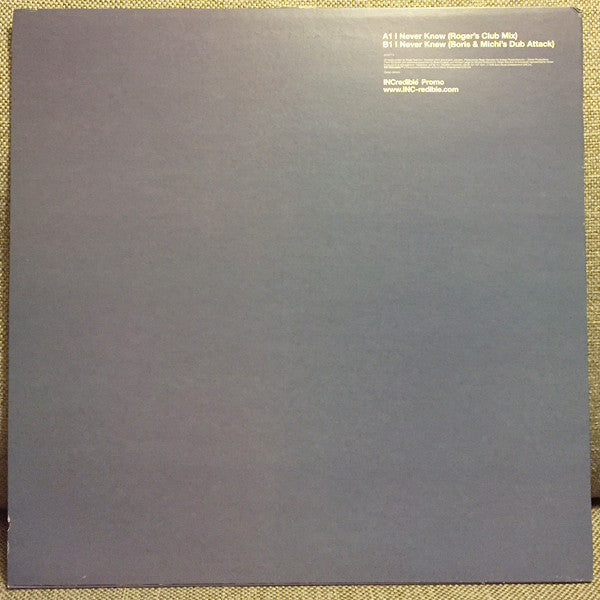 Roger Sanchez : I Never Knew (12", Promo)