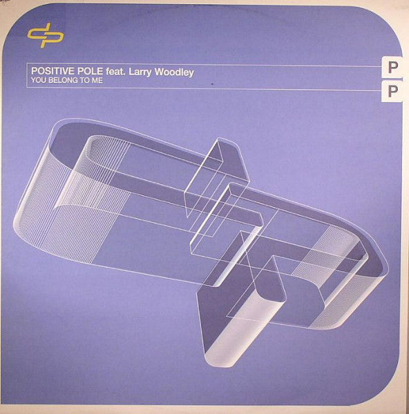 Positive Pole Feat. Larry Woodley : You Belong To Me (12", Promo)