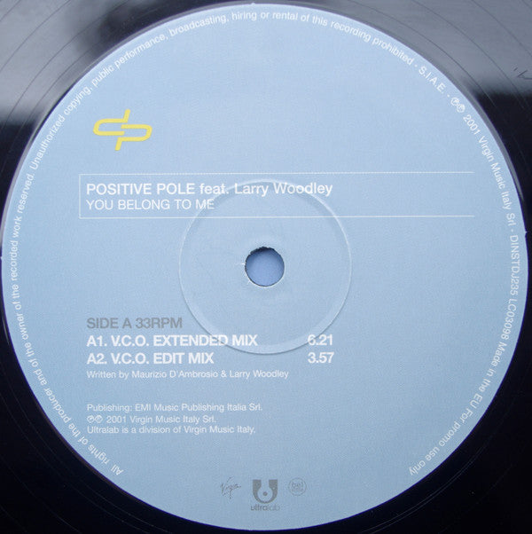 Positive Pole Feat. Larry Woodley : You Belong To Me (12", Promo)