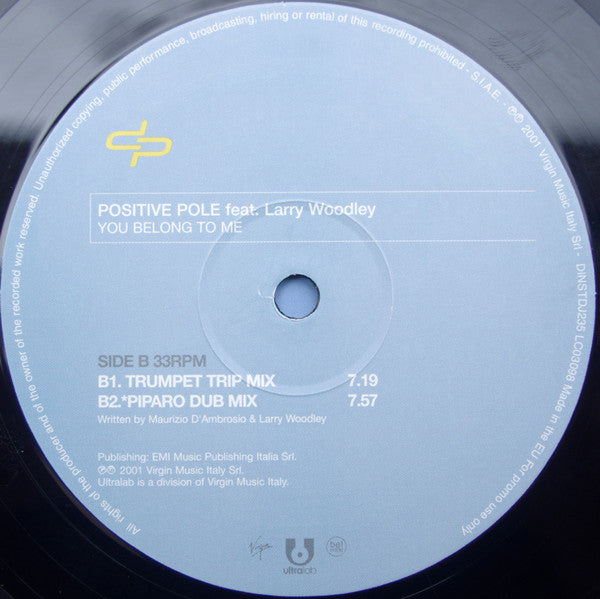 Positive Pole Feat. Larry Woodley : You Belong To Me (12", Promo)
