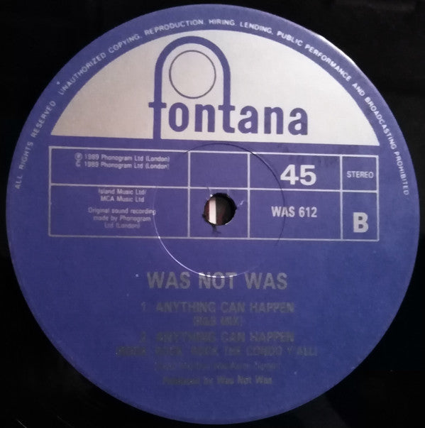 Was (Not Was) : Anything Can Happen (12", Single)