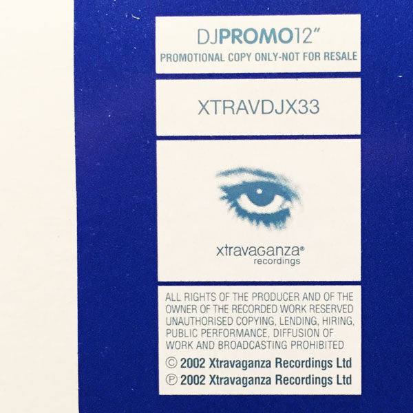 The Mystery : All I Ever Wanted (Devotion) (12", Promo)