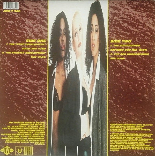 The Flavour : No Matter What U Do (I'm Gonna Get With U) (12")
