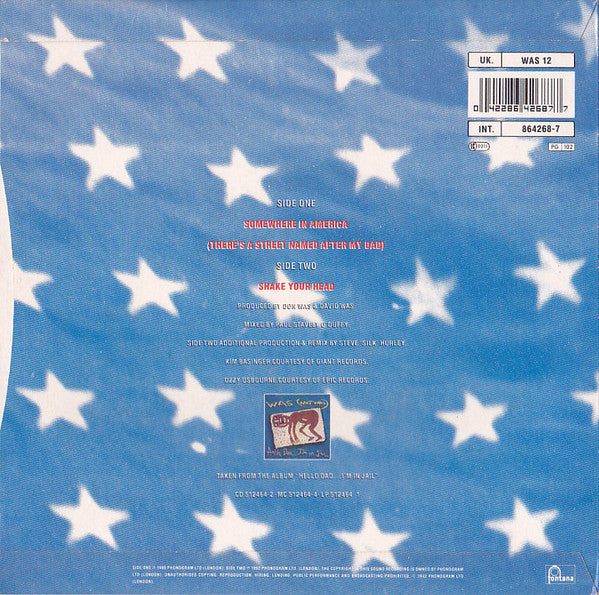 Was (Not Was) : Somewhere In America (There's A Street Named After My Dad) (7")