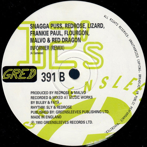 Snagga Puss / Anthony Red Rose / Daddy Lizard / Frankie Paul / Flourgon / Anthony Malvo / Red Dragon : Informer (12")