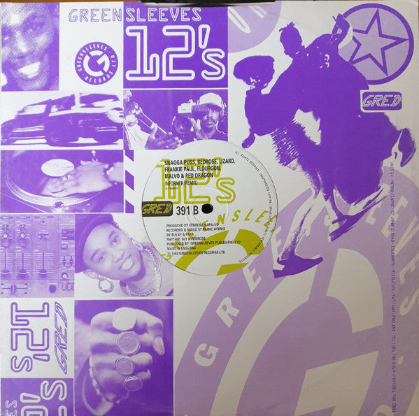Snagga Puss / Anthony Red Rose / Daddy Lizard / Frankie Paul / Flourgon / Anthony Malvo / Red Dragon : Informer (12")