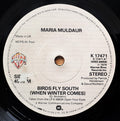 Maria Muldaur : Birds Fly South (When Winter Comes) (7", Single)