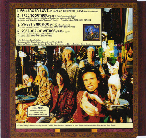 Aerosmith : Falling In Love (Is Hard On The Knees) (CD, Maxi)