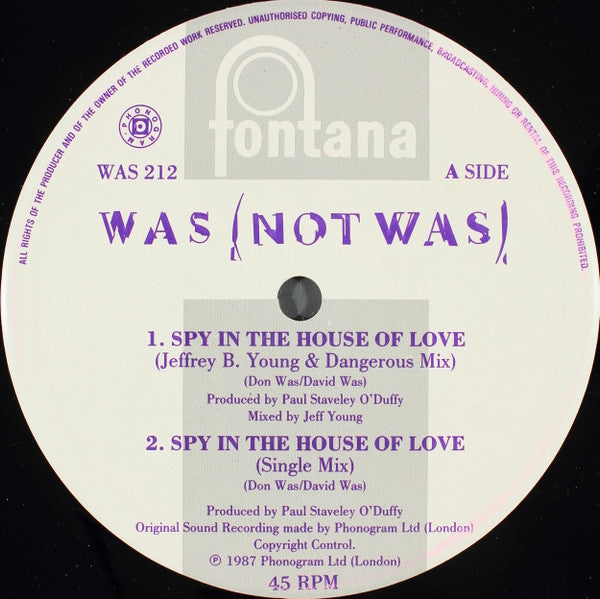 Was (Not Was) : Spy In The House Of Love (12", Single)