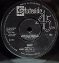 Ronny & The Daytonas : Sandy (7", Single)