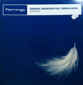 Rawsoul Orchestra Feat. Concha Buika : Everyday (12")