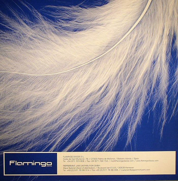 Rawsoul Orchestra Feat. Concha Buika : Everyday (12")