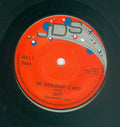 Lacey (2) : The Hucklebuck Is Back (7", Single)