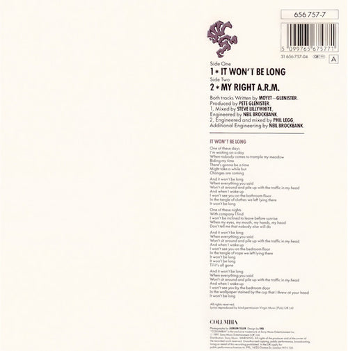 Alison Moyet : It Won't Be Long (7", Single)