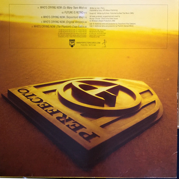 DJ Chrome : Who's Crying Now (2x12", Promo)