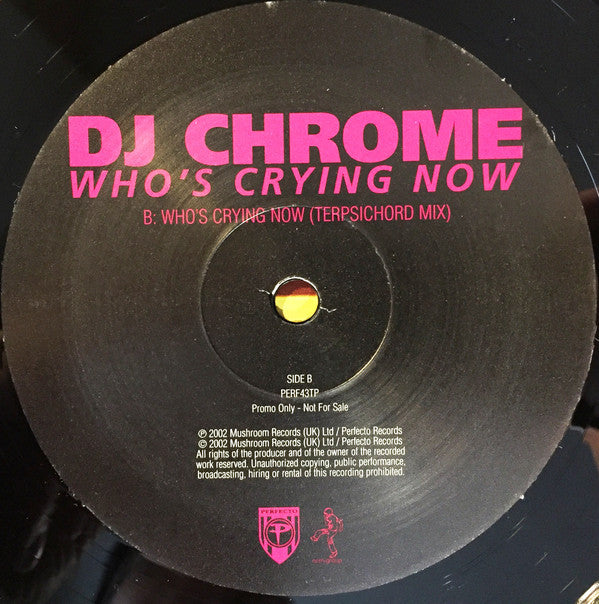 DJ Chrome : Who's Crying Now (2x12", Promo)
