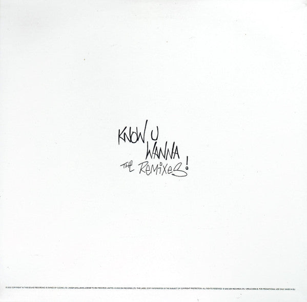 3rd Edge : Know You Wanna The Remixes (12", Single, Promo)