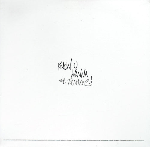 3rd Edge : Know You Wanna The Remixes (12", Single, Promo)