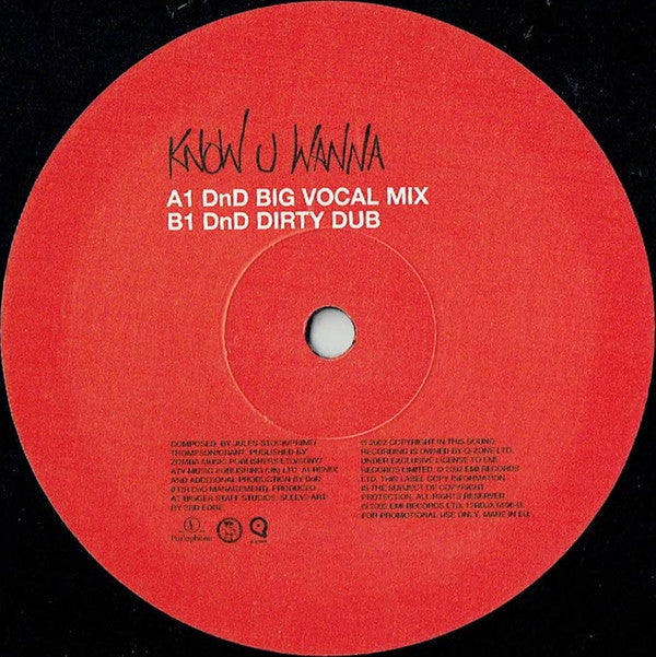 3rd Edge : Know You Wanna The Remixes (12", Single, Promo)