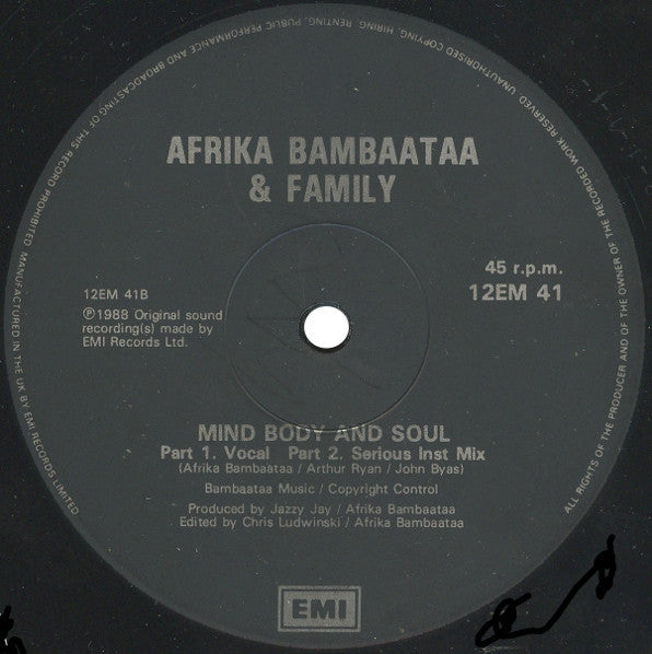 Afrika Bambaataa & Family Featuring UB40 : Reckless (Vocal Wildstyle Mix) (12", Single)