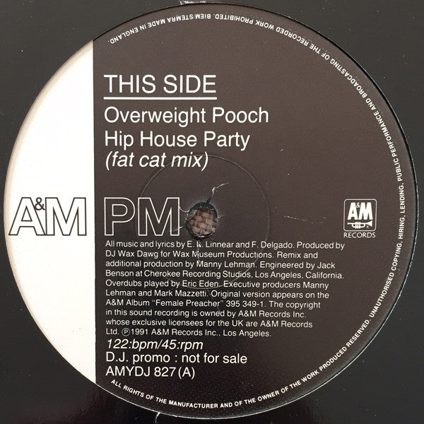 Overweight Pooch : Hip House Party (12", Promo)