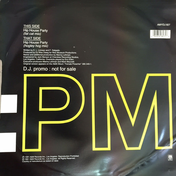Overweight Pooch : Hip House Party (12", Promo)