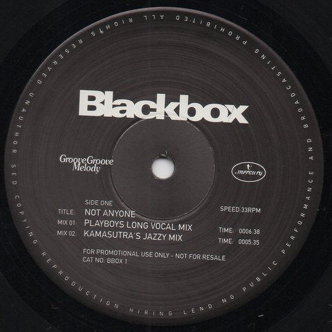 Black Box : Not Anyone (12", Promo)