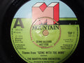 The Martyn Ford Orchestra : Theme From "Gone With The Wind" (7", Single, Promo)