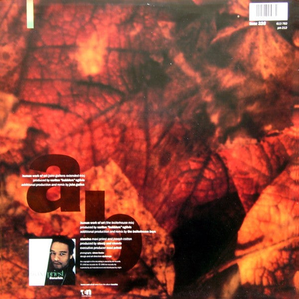 Maxi Priest : Human Work Of Art (12", Maxi)