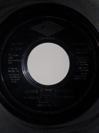 Clubhouse* Featuring Carl* : Living In The Sunshine (7", Jukebox)