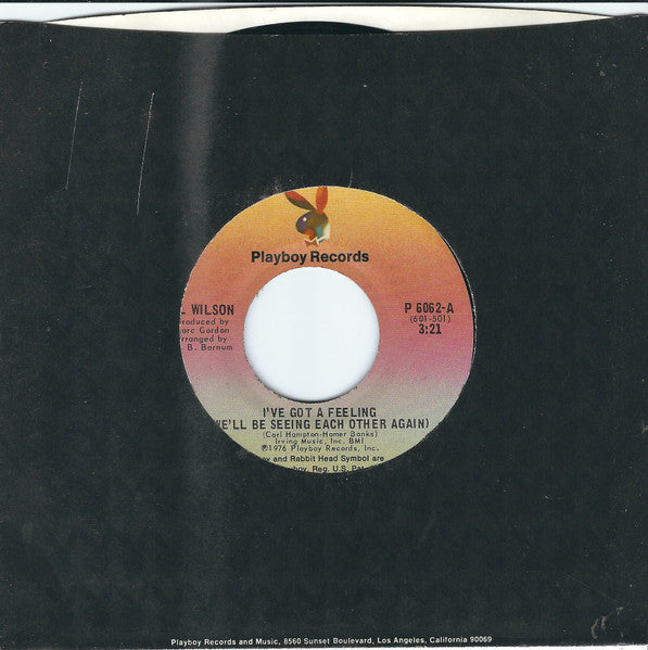 Al Wilson : I've Got A Feeling (We'll Be Seeing Each Other Again) (7", San)
