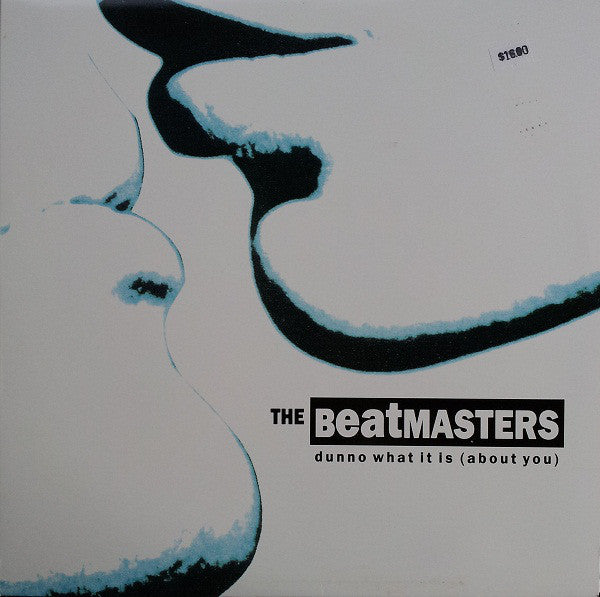 The Beatmasters : Dunno What It Is (About You) (12", Single)