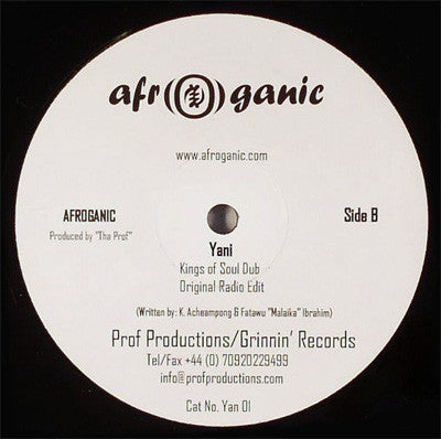 Afroganic : Yani (12")