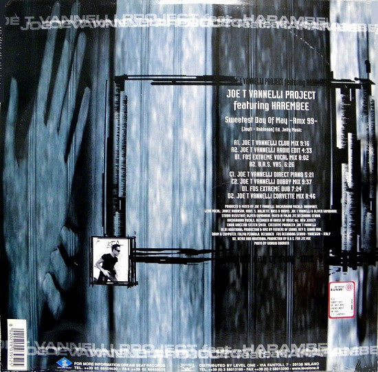 Joe T. Vannelli Project Featuring Harambee : Sweetest Day Of May - Rmx 99 (2x12")