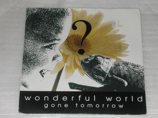Gone Tomorrow : Wonderful World (7")