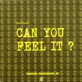David Duriez : Can You Feel It? (12")