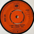 Just Us (7) : I Can't Grow Peaches On A Cherry Tree / I Can Save You (7", Single)