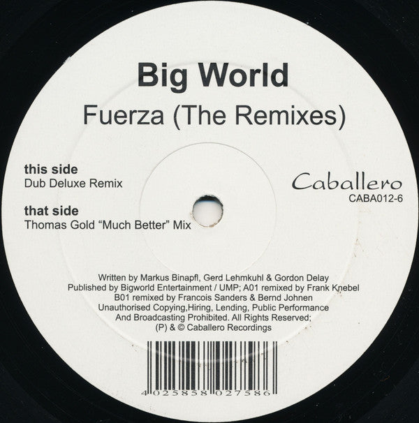 Big World : Fuerza (The Remixes) (12")