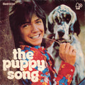 David Cassidy : Daydreamer / The Puppy Song (7", Single)